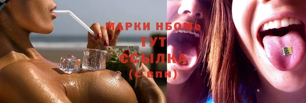 амф Бородино