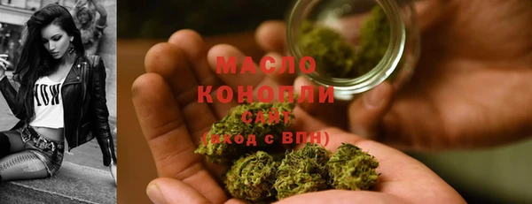 амф Бородино