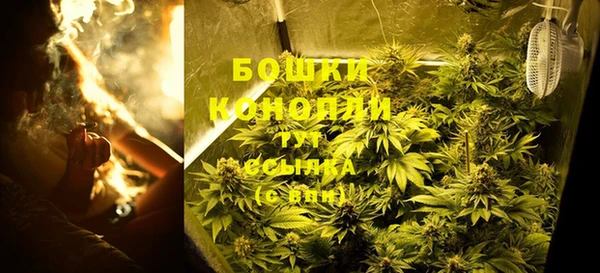 амф Бородино