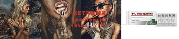 амф Бородино