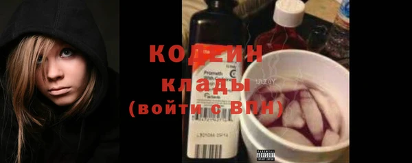 амф Бородино