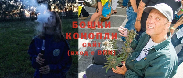 амф Бородино