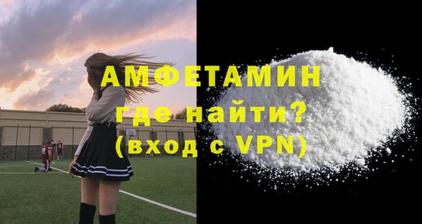 амф Бородино