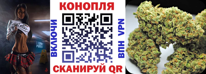 где купить наркоту  Кисловодск  ОМГ ОМГ как войти  Бошки марихуана Ganja 